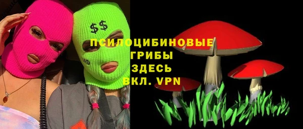 таблы Пересвет