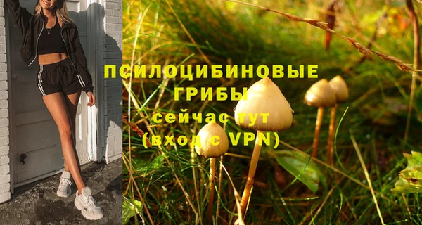 гидра Остров