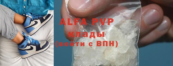 стафф Алзамай