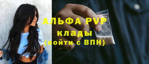 стаф Пестово