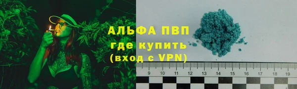 шишки Переславль-Залесский
