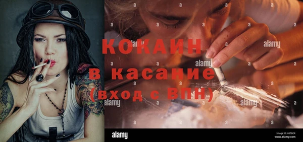 стафф Алзамай