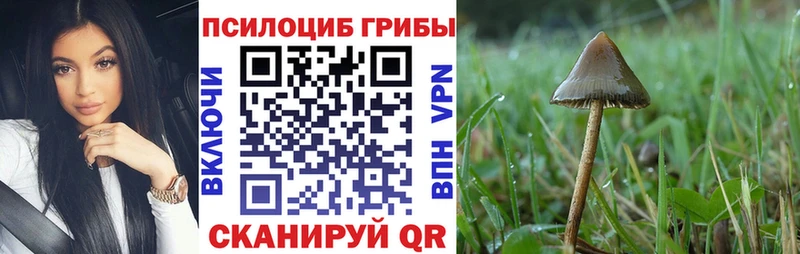 Псилоцибиновые грибы прущие грибы купить Лесосибирск